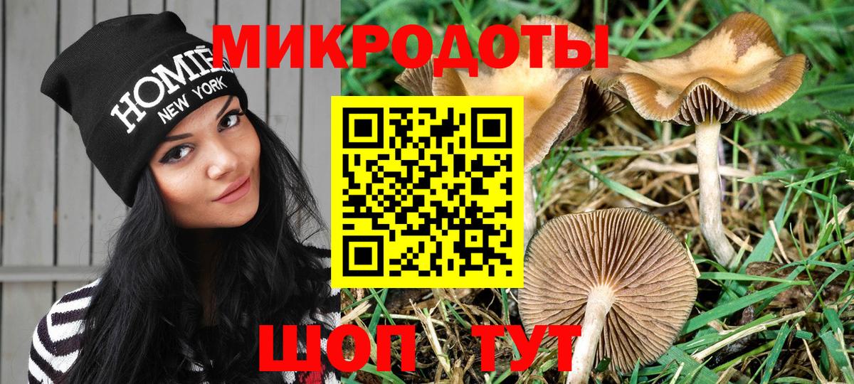 Псилоцибиновые грибы мицелий Грозный