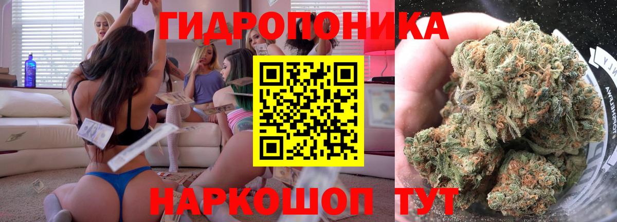Каннабис семена  Марихуана марихуана  Бошки Шишки марихуана  Вход с VPN  Грозный  Бошки марихуана MAZAR 